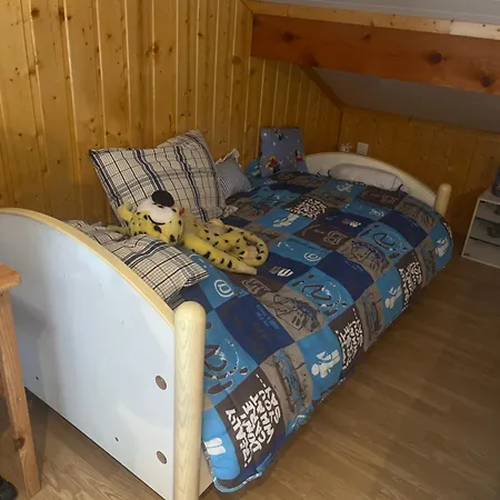 Des Perce Neige Barcelonnette